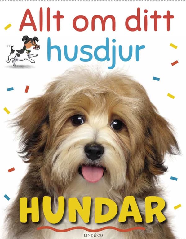 Allt Om Ditt Husdjur. Hundar (Bok)