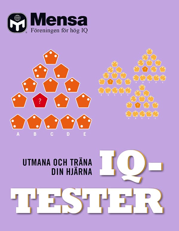 Iq-tester - Utmana Och Testa Din Hjärna (Bok)