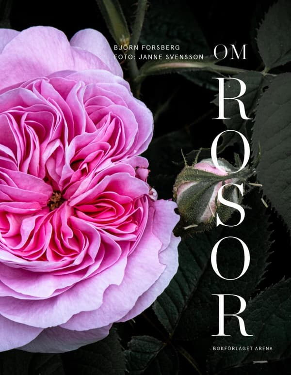 Om Rosor (Bok)