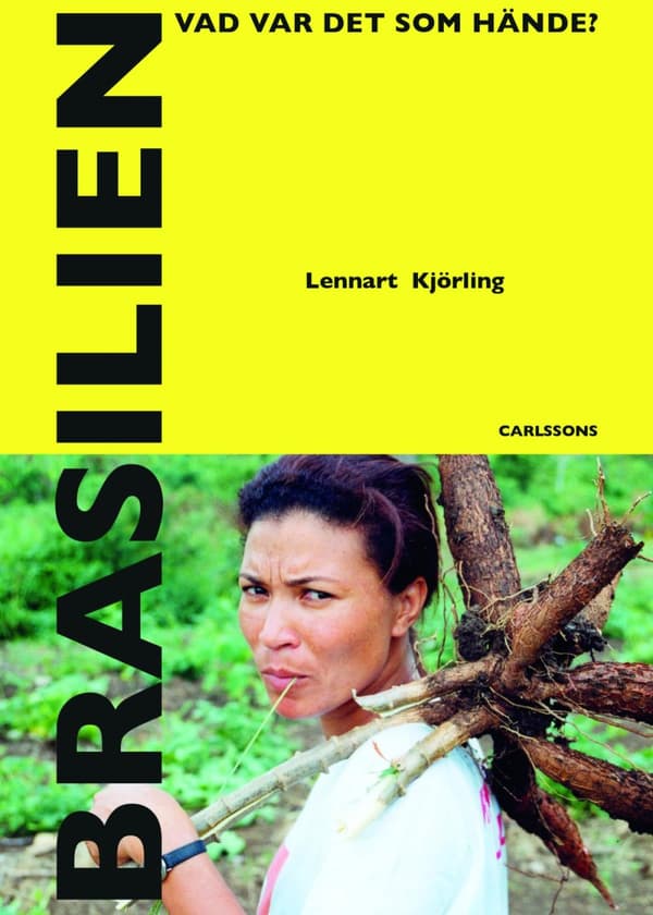 Brasilien - Vad Var Det Som Hände? (Bok)