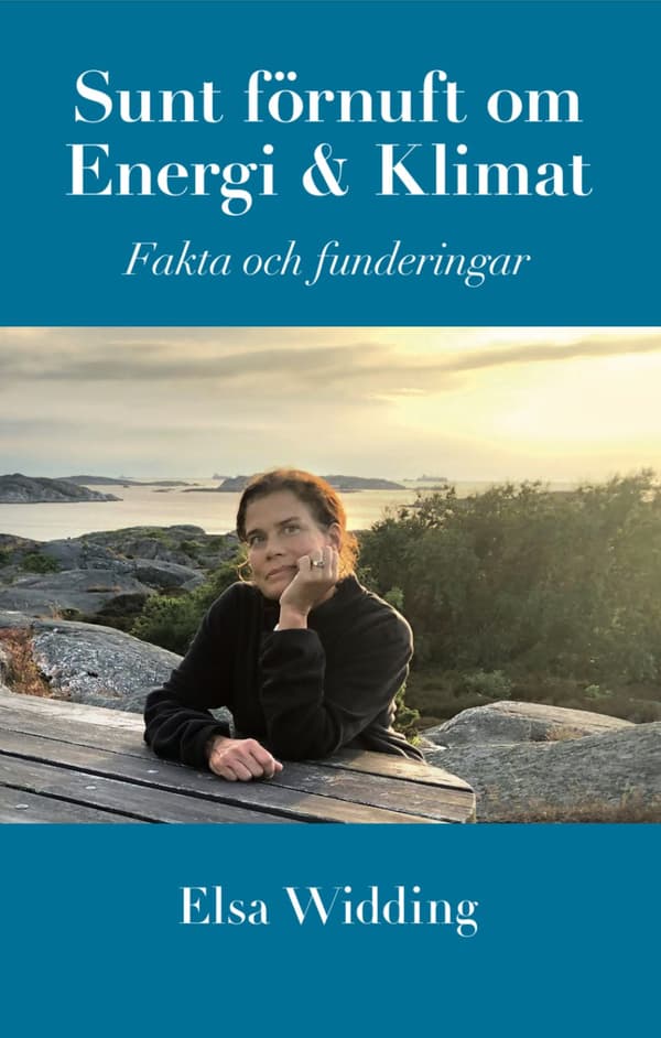 Sunt Förnuft Om Energi Och Klimat (Bok)