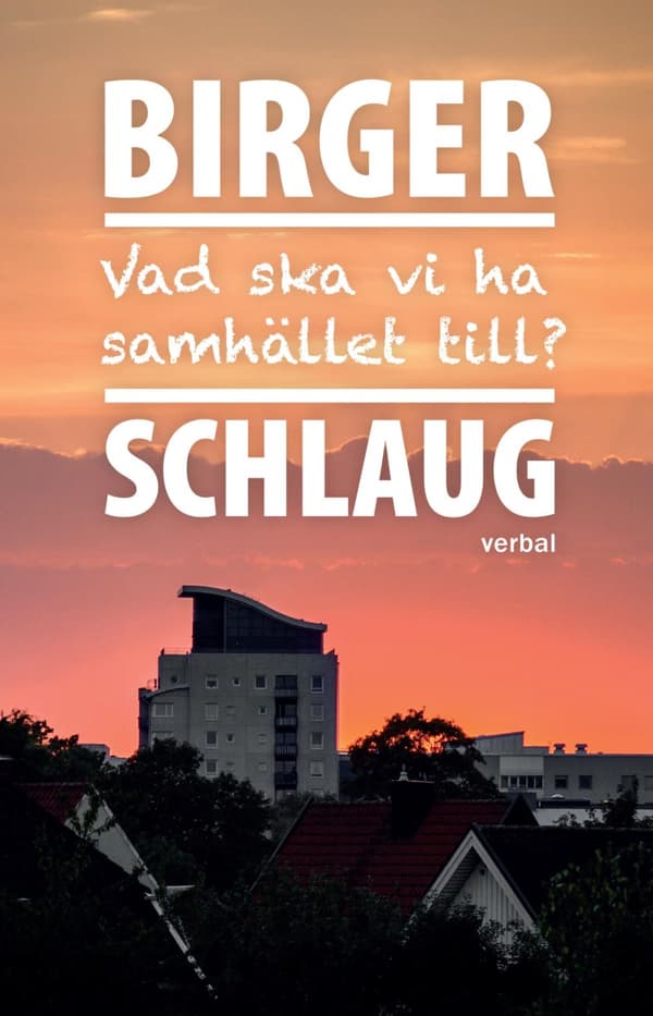 Vad Ska Vi Ha Samhället Till? (Bok)