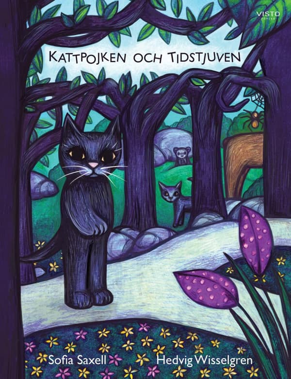 Kattpojken Och Tidstjuven (Bok)