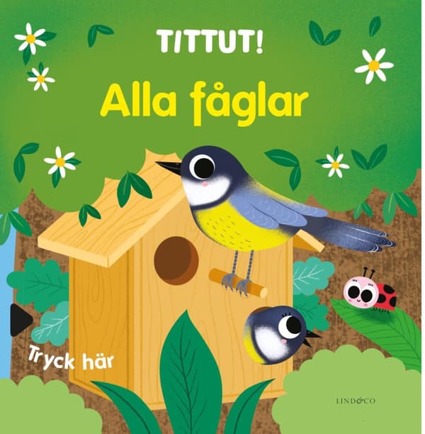 Tittut! Alla Fåglar (Bok)