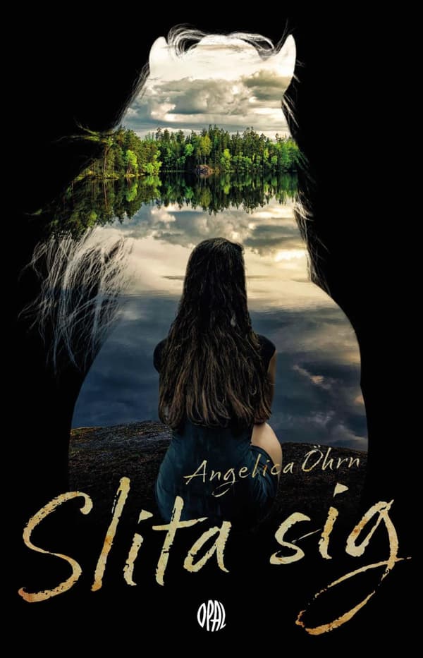 Slita Sig (Bok)