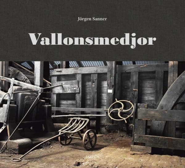 Vallonsmedjor (Bok)