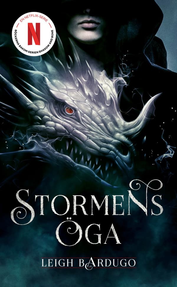 Stormens Öga (Bok)