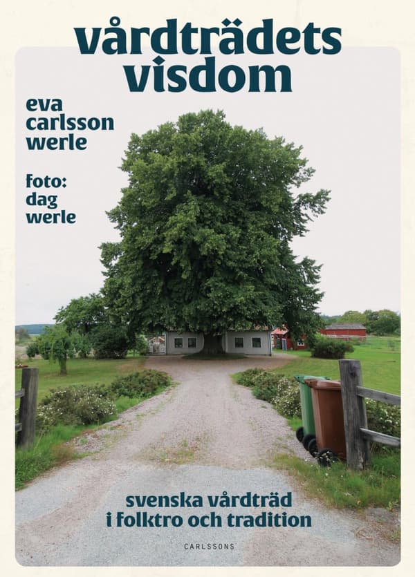 Vårdträdets Visdom - Svenska Vårdträd I Folktro Och Tradition (Bok)