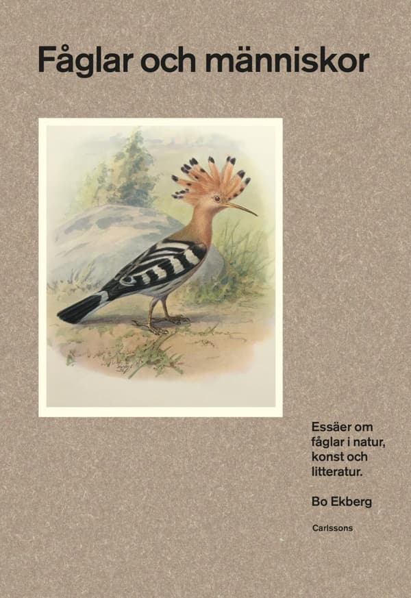 Fåglar Och Människor - Essäer Om Fåglar I Natur, Konst Och Litteratur (Bok)
