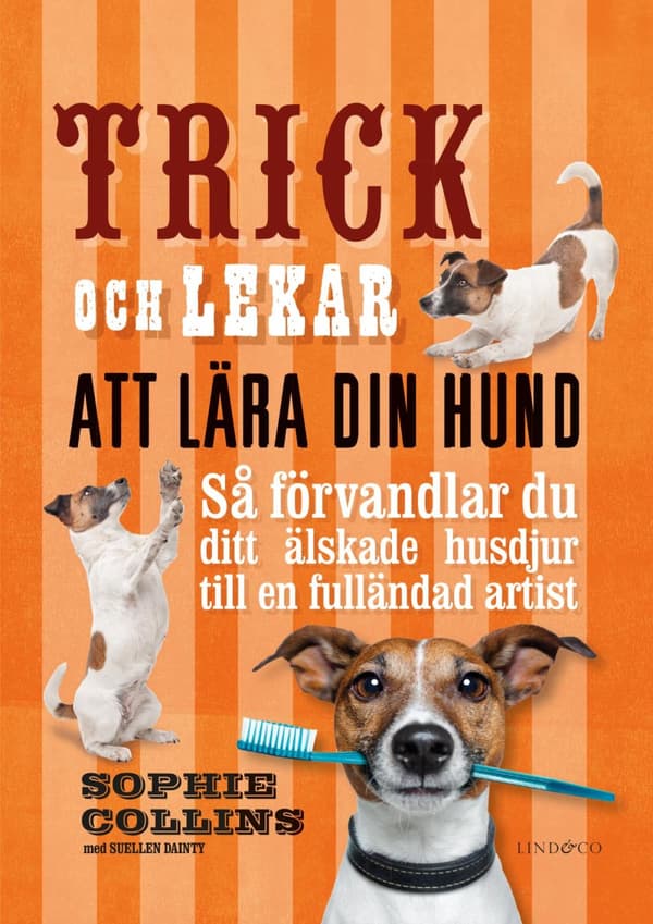 Trick Och Lekar Att Lära Din Hund - Så Förvandlar Du Ditt Älskade Husdjur.. (Bok)