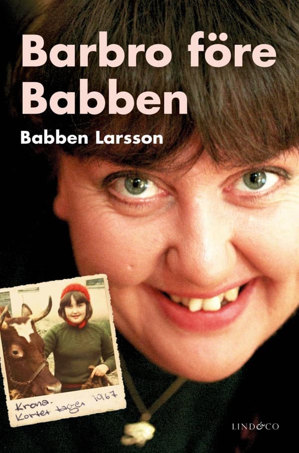 Barbro Före Babben (Bok)