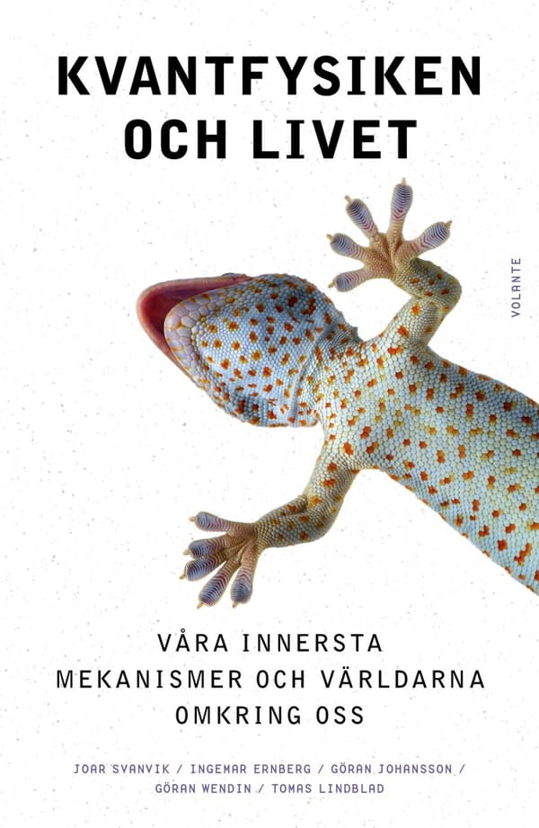 Kvantfysiken Och Livet - Våra Innersta Mekanismer Och Världarna Omkring Oss (Bok)