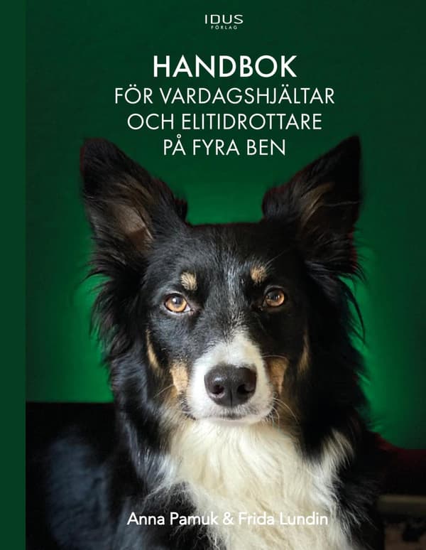 Handbok För Vardagshjältar Och Elitidrottare På Fyra Ben (Bok)