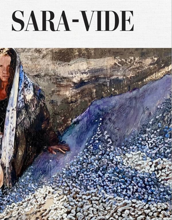 Sara-vide Ericson (Bok)