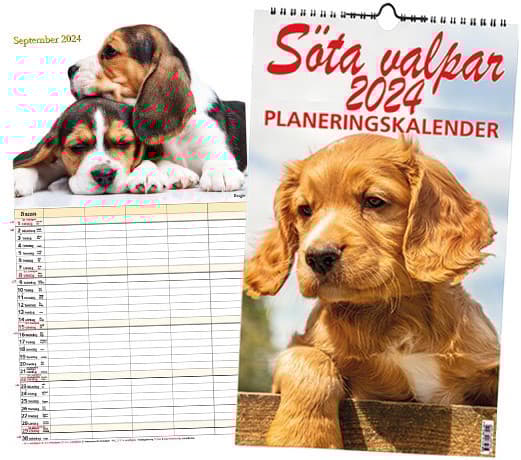 Söta Valpar Planeringskalender 2024 (Bok)