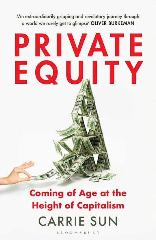 Private Equity (Bok)