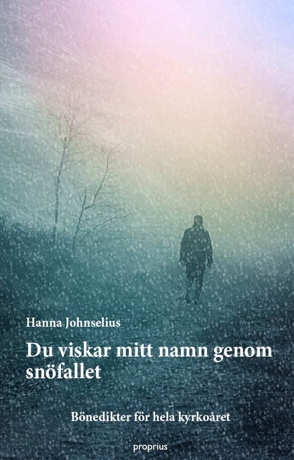 Du Viskar Mitt Namn Genom Snöfallet (Bok)