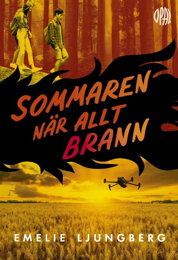 Sommaren När Allt Brann (Bok)
