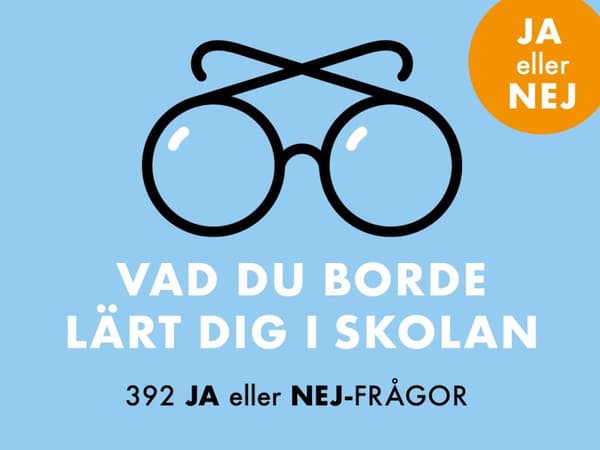 Vad Du Borde Lärt Dig I Skolan - 392 Ja Eller Nej-frågor (Bok)