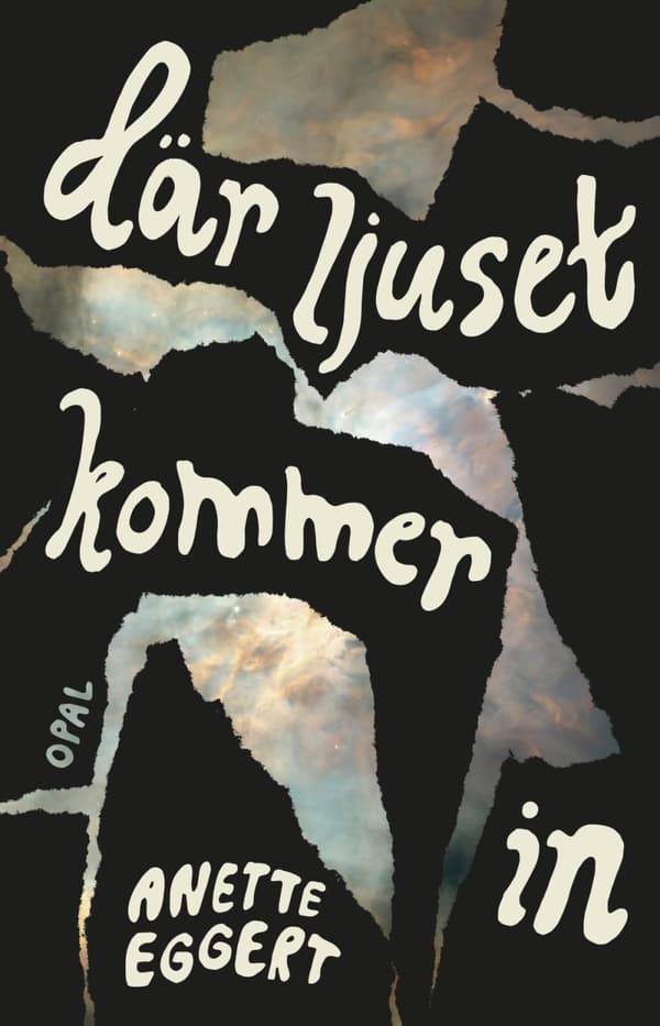 Där Ljuset Kommer In (Bok)