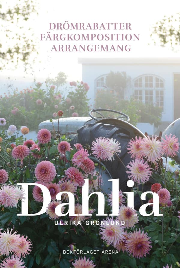 Dahlia - Drömrabatter, Färgkomposition Och Arrangemang (Bok)