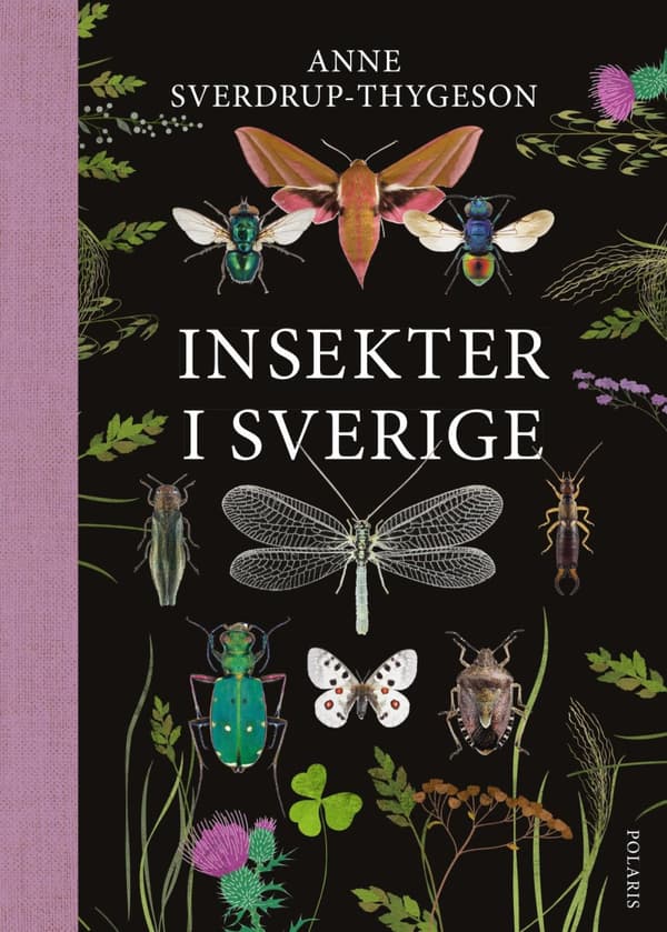 Insekter I Sverige (Bok)