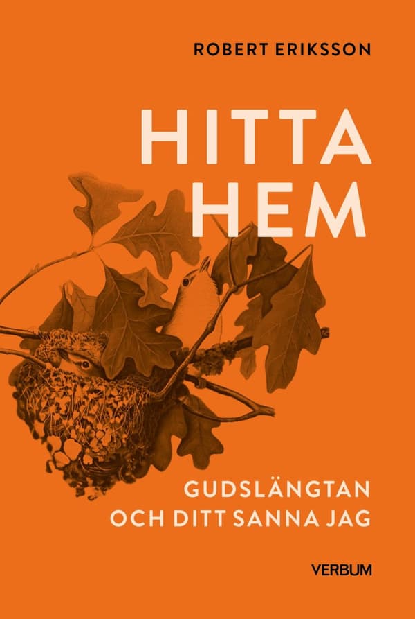 Hitta Hem - Gudslängtan Och Ditt Sanna Jag (Bok)