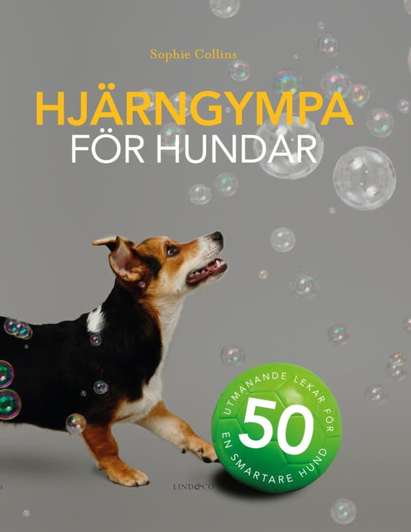 Hjärngympa För Hundar - 50 Utmanande Lekar För En Smartare Hund (Bok)