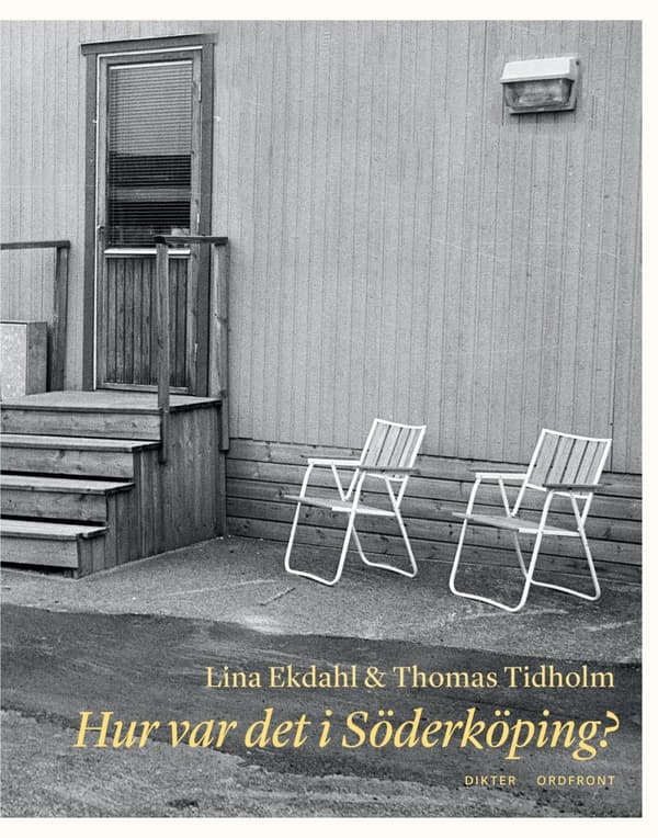 Hur Var Det I Söderköping? (Bok)