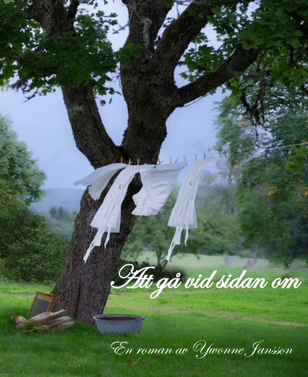 Att Gå Vid Sidan Om (Bok)
