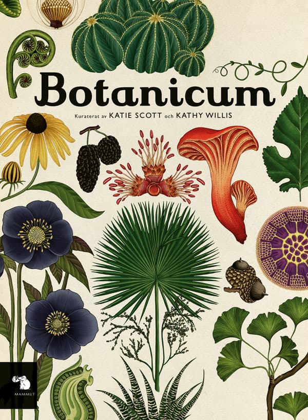 Botanicum (Bok)