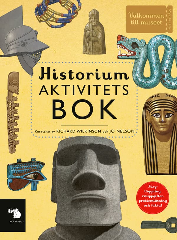 Historium Aktivitetsbok (Bok)