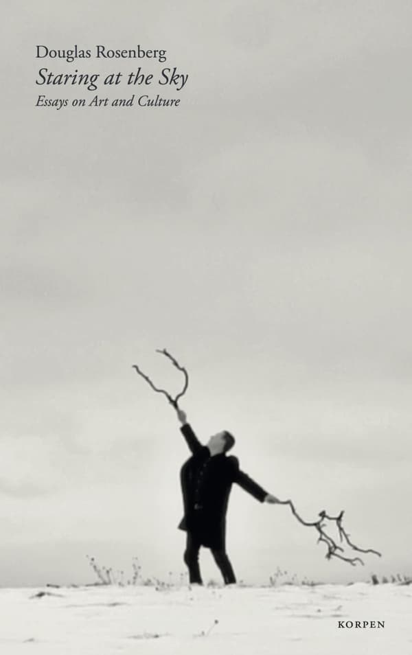 Staring At The Sky - Essays On Art And Culture (Bok)