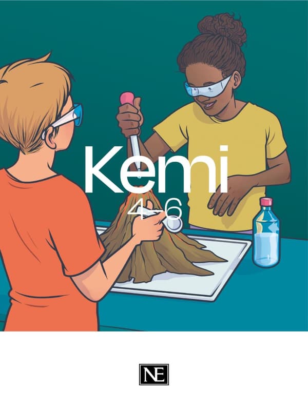 Ne Kemi 4-6 (Bok)