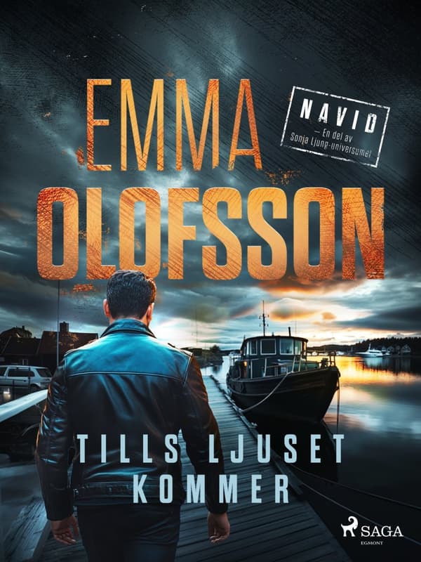 Tills Ljuset Kommer (Bok)