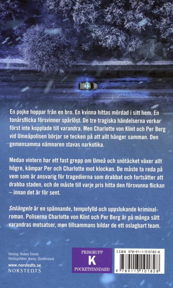 Snöängeln (Bok)