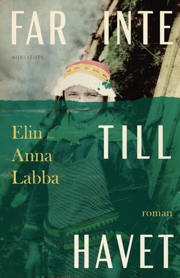 Far Inte Till Havet (Bok)