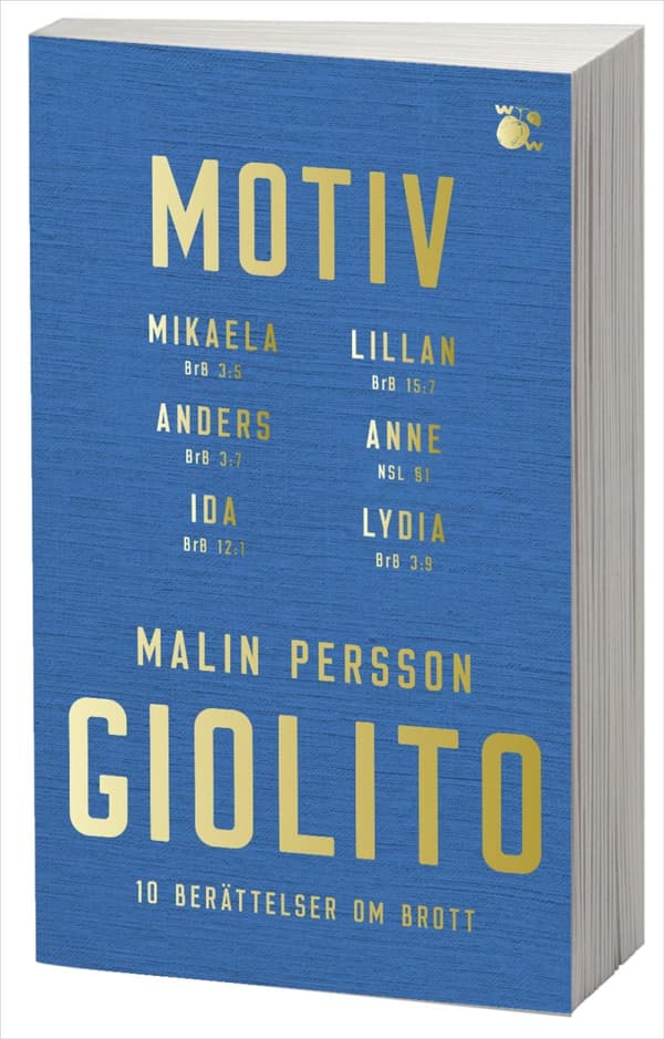 Motiv (Bok)