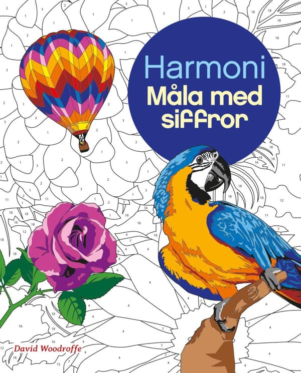 Harmoni - Måla Med Siffror (Bok)