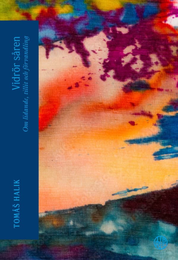 Vidrör Såren - Om Lidande, Tillit Och Förvandling (Bok)