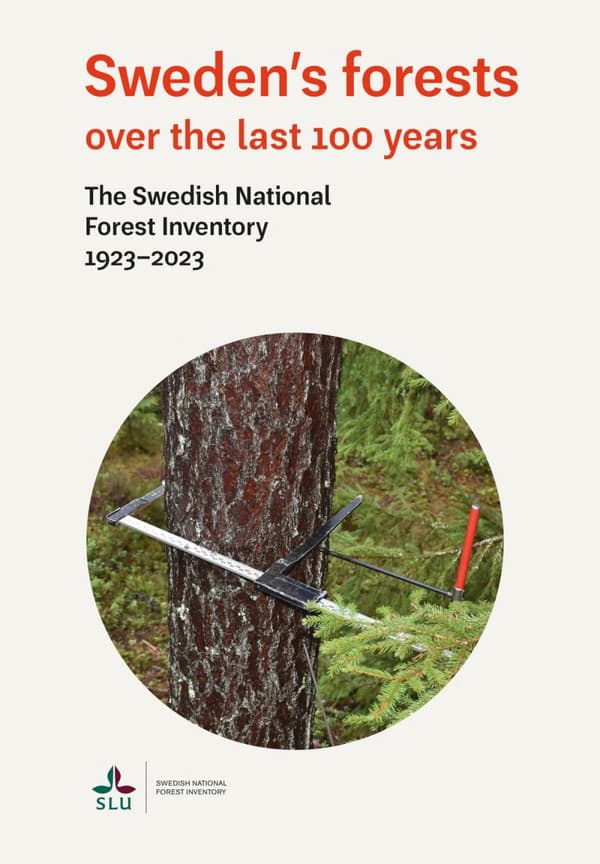 Sweden's Forests Over The Last 100 Years - The Swedish National Forest Inventory 1923-2023 (Bok)