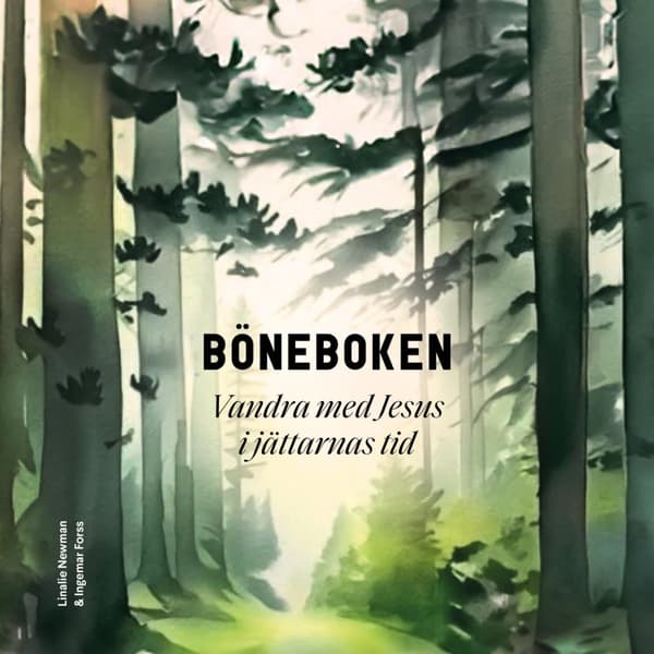 Böneboken (Bok)
