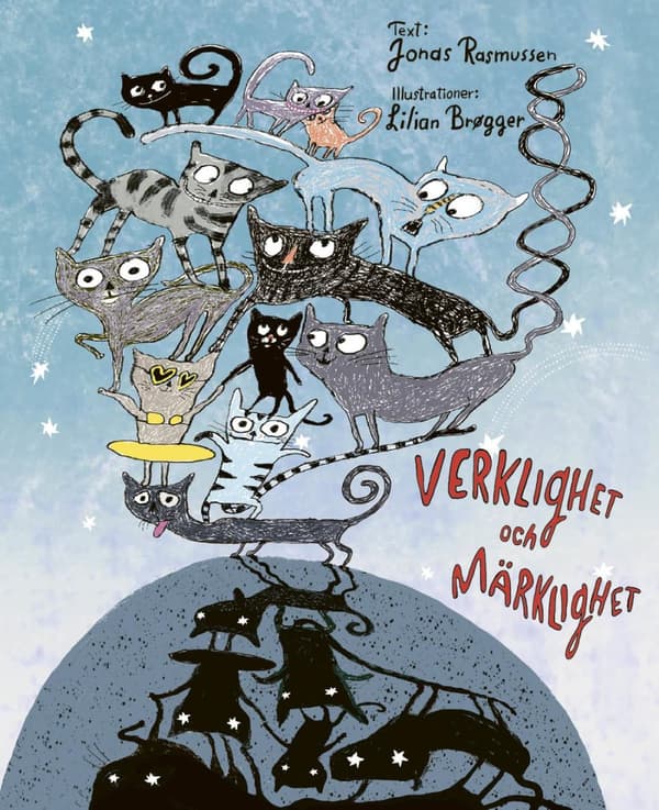 Verklighet Och Märklighet (Bok)