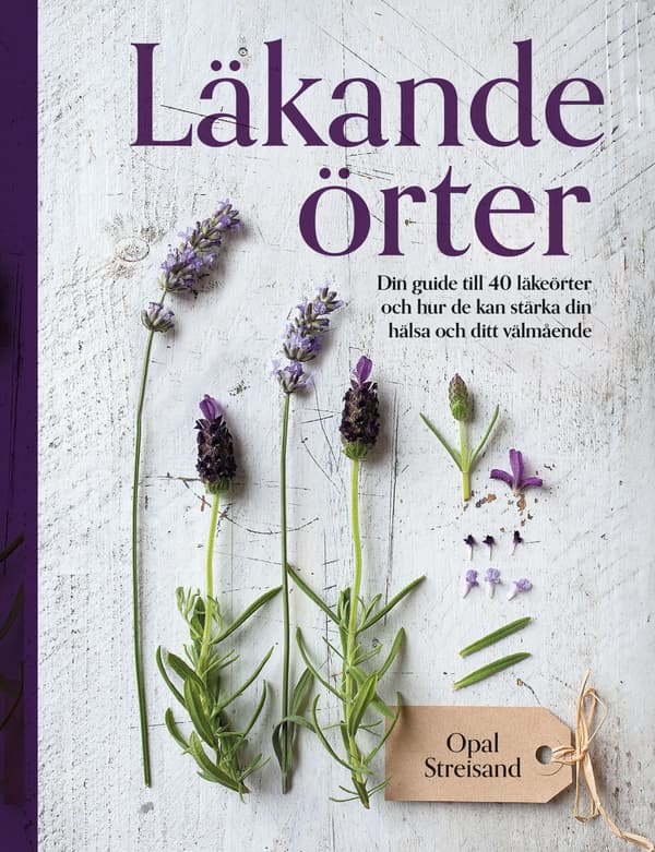 Läkande Örter (Bok)