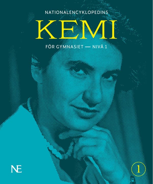 Ne Kemi För Gymnasiet - Nivå 1 (Bok)