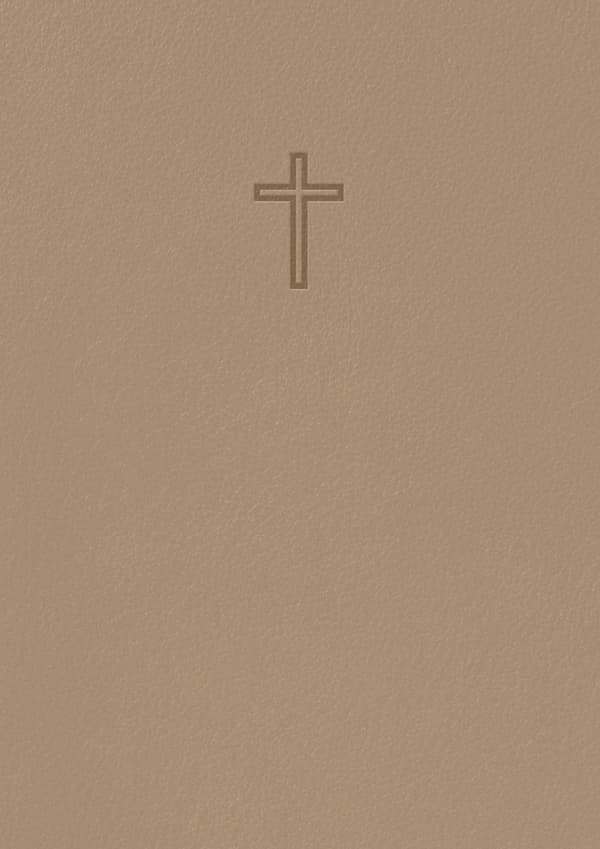 Svenska Folkbibeln 2015 - Slimline Beige Konstskinn (Bok)