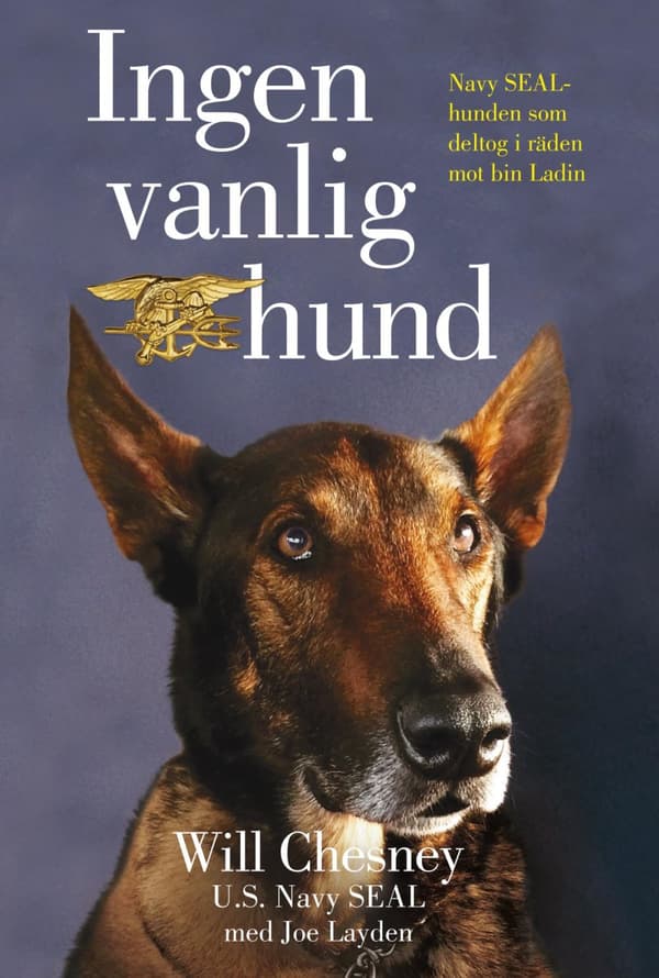 Ingen Vanlig Hund (Bok)