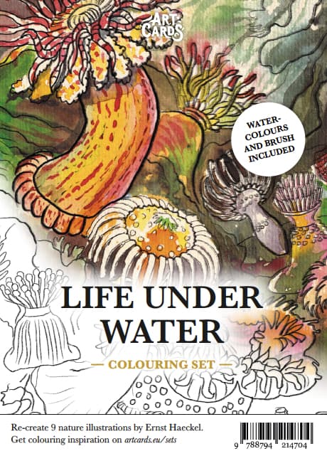 Artcards- Life Under Water (Bok)