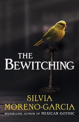The Bewitching (Bok)