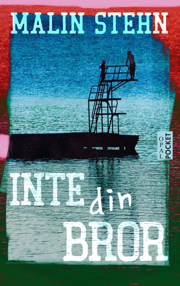 Inte Din Bror (Bok)